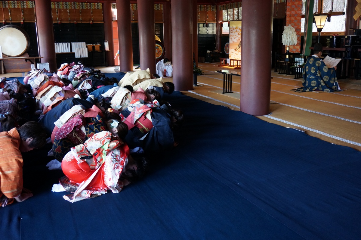 技能五輪全国大会 和裁 愛知 2014